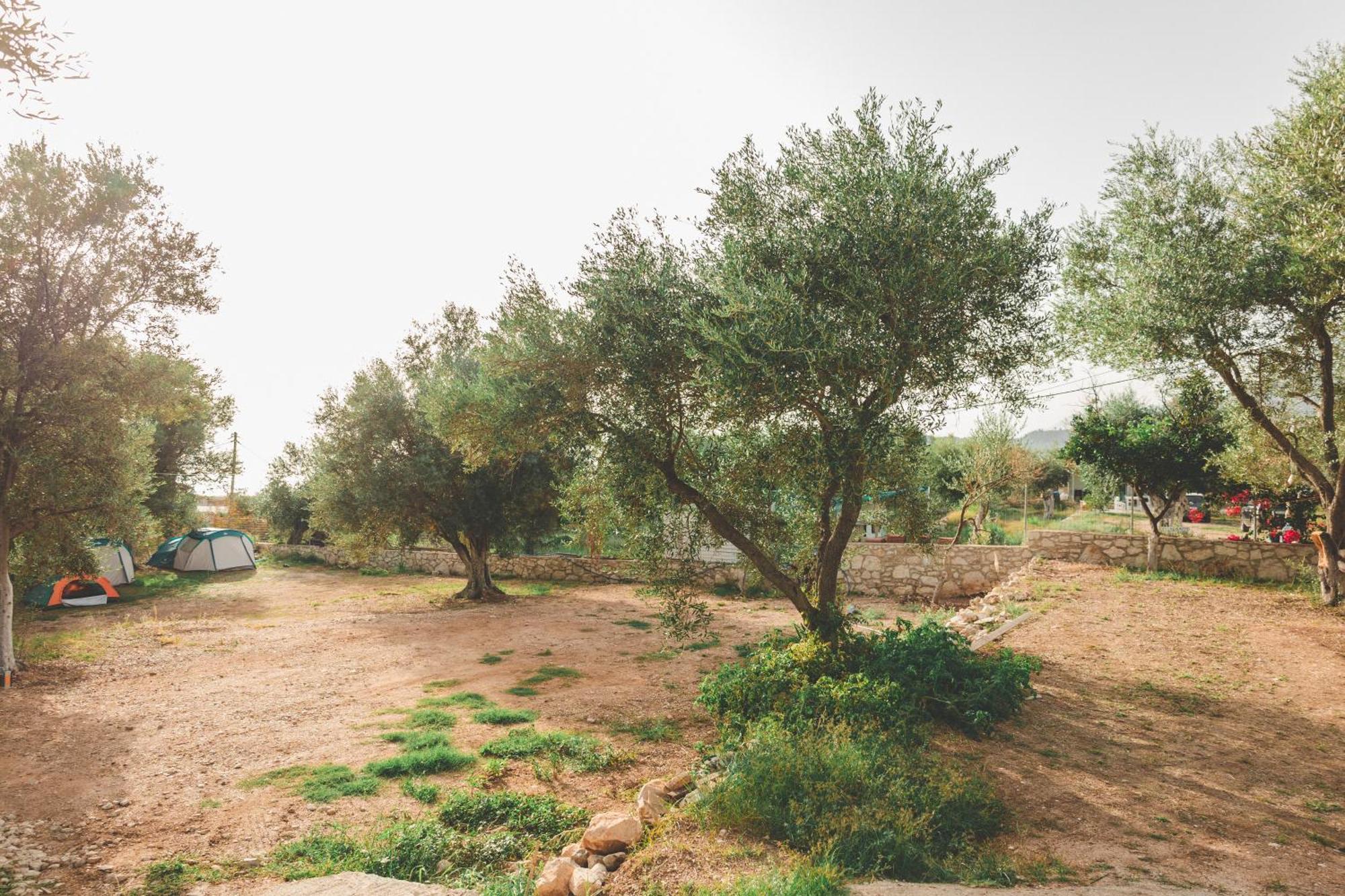 Olive Camping Himarë Exterior foto